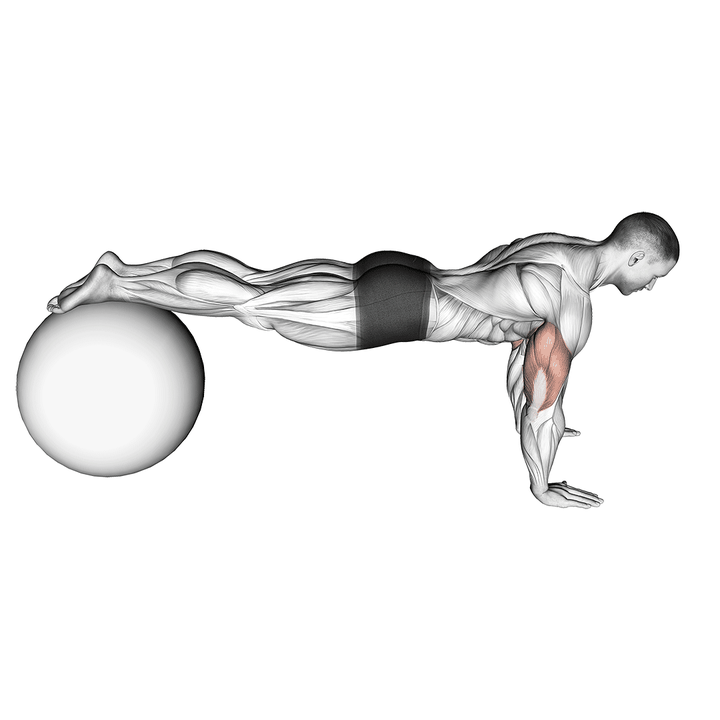 Demonstration of the push-up (on stability ball)