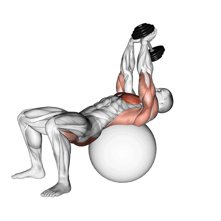 Demonstration of the dumbbell pullover hip extension on exercise ball