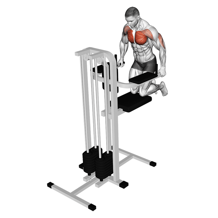 Demonstration of the assisted wide-grip chest dip (kneeling)