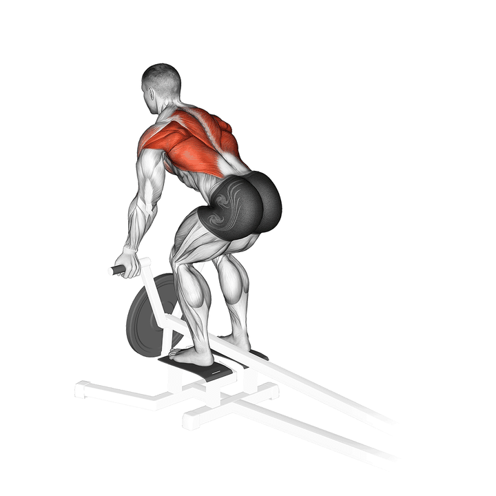 Demonstration of the lever t-bar reverse grip row