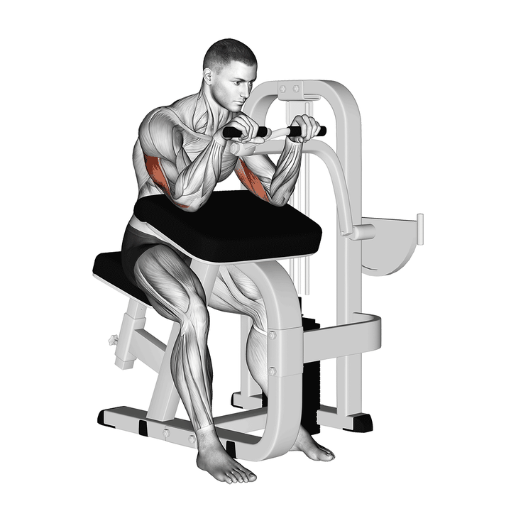 Demonstration of the lever triceps extension