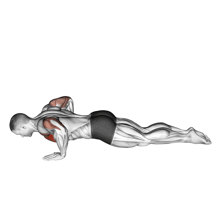 Demonstration of the kneeling push-up (male)