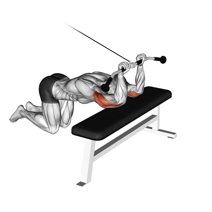 Demonstration of the cable kneeling triceps extension