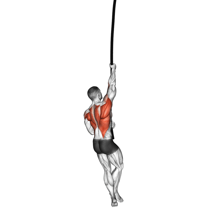 Demonstration of the rope climb