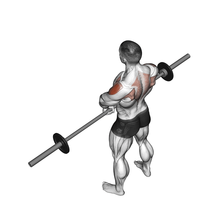 Demonstration of the barbell upright row