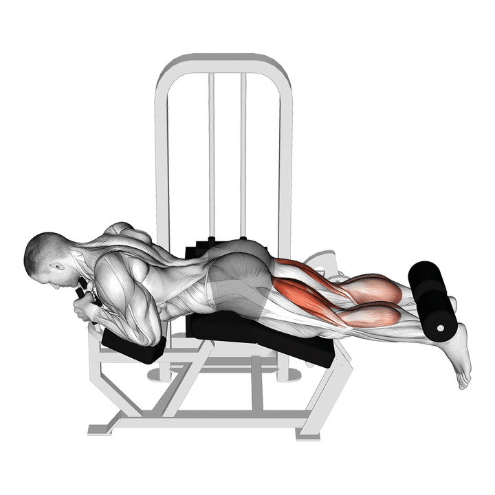 Demonstration of the lever lying two-one leg curl