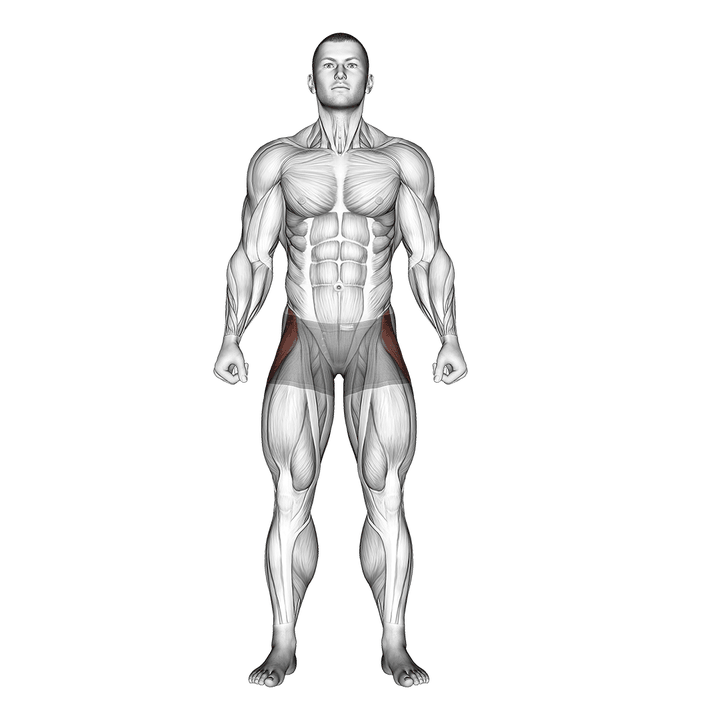 Demonstration of the straight leg outer hip abductor