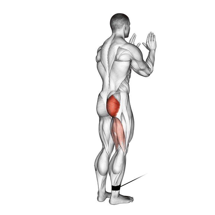 Demonstration of the cable standing hip extension lying