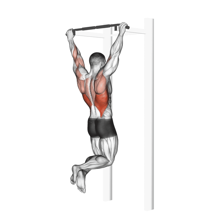 Demonstration of the pull-up
