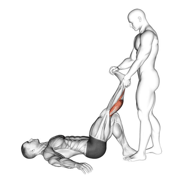 Demonstration of the assisted lying calves stretch