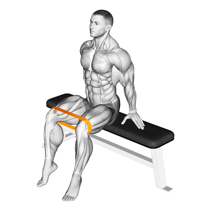 Demonstration of the endurance style resistance band seated hip abduction