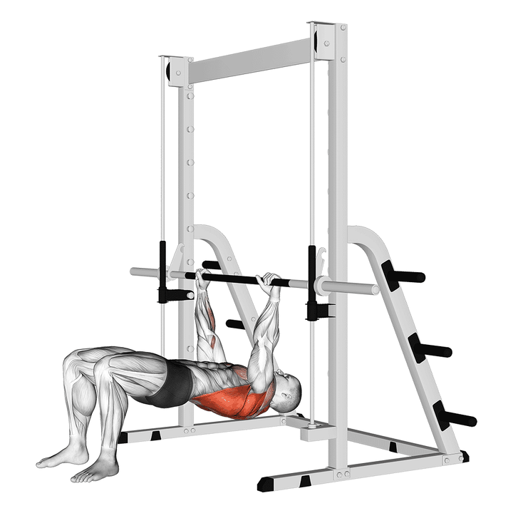Demonstration of the inverted row bent knees