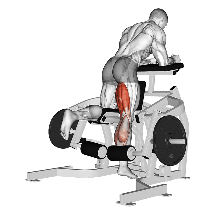 Demonstration of the lever kneeling leg curl