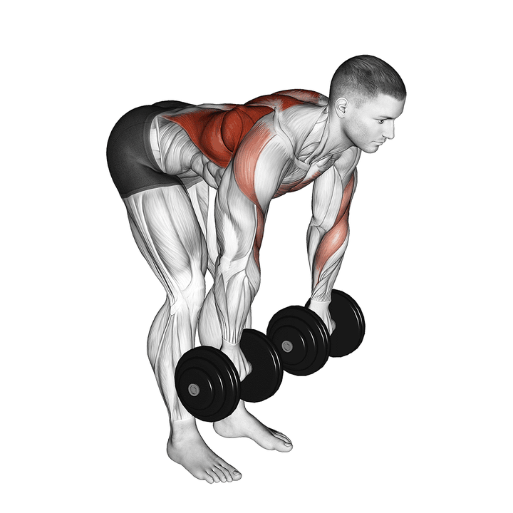 Demonstration of the dumbbell palm rotational bent over row
