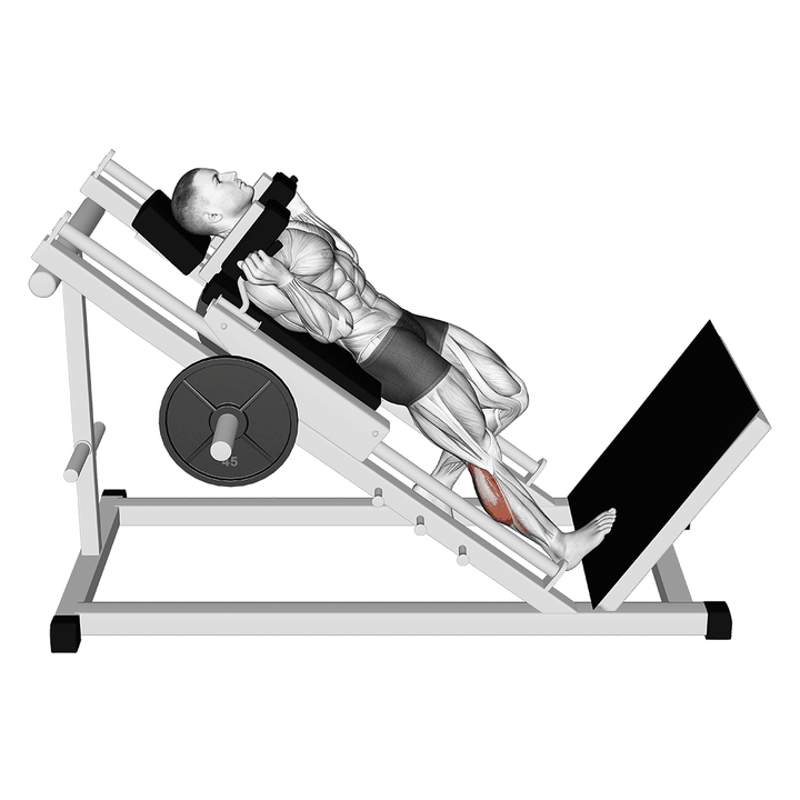 Demonstration of the hack one leg calf raise