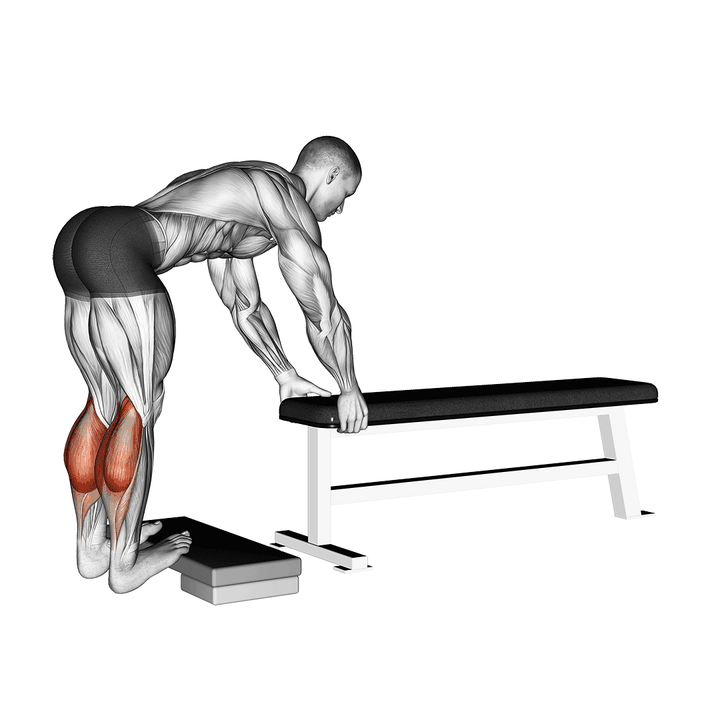 Demonstration of the donkey calf raise