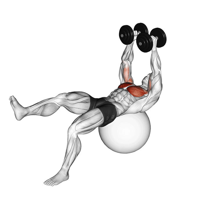 Demonstration of the dumbbell one leg fly on exercise ball