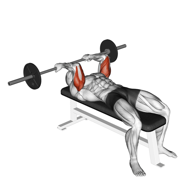 Demonstration of the barbell reverse grip skullcrusher