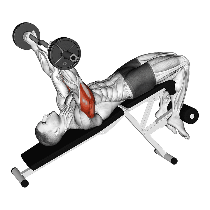 Demonstration of the ez barbell decline triceps extension