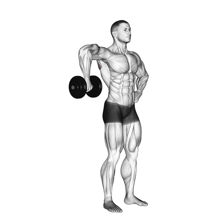 Demonstration of the dumbbell upright shoulder external rotation