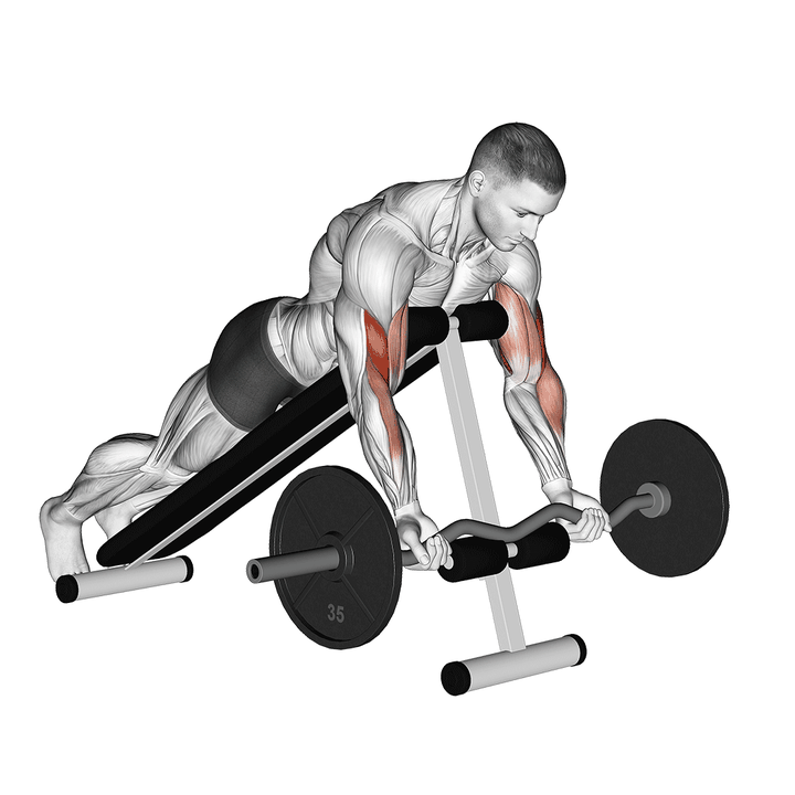 Demonstration of the ez barbell spider curl intense