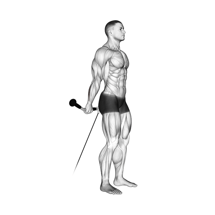 Demonstration of the cable standing back wrist curl