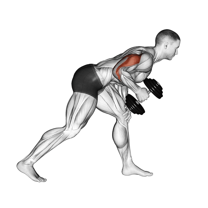 Demonstration of the dumbbell one arm kickback