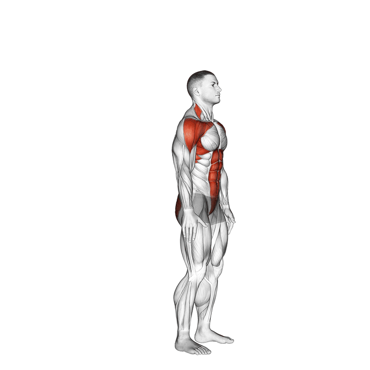 Demonstration of the posterior step to overhead reach