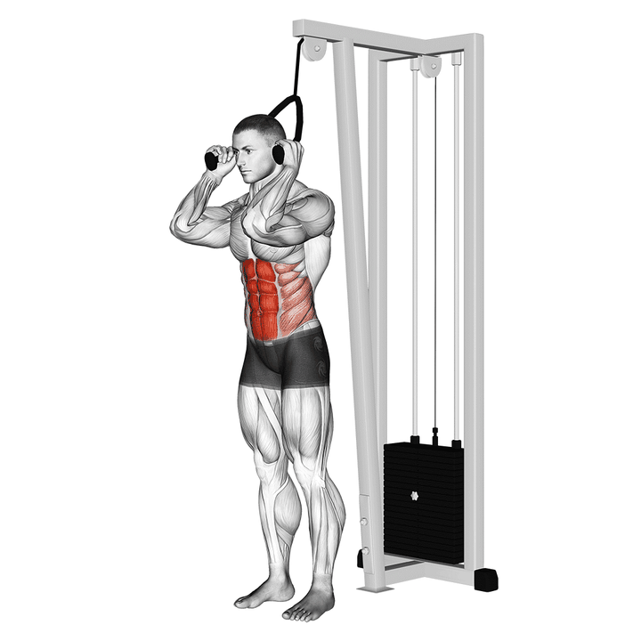 Demonstration of the cable standing crunch (with rope attachment)