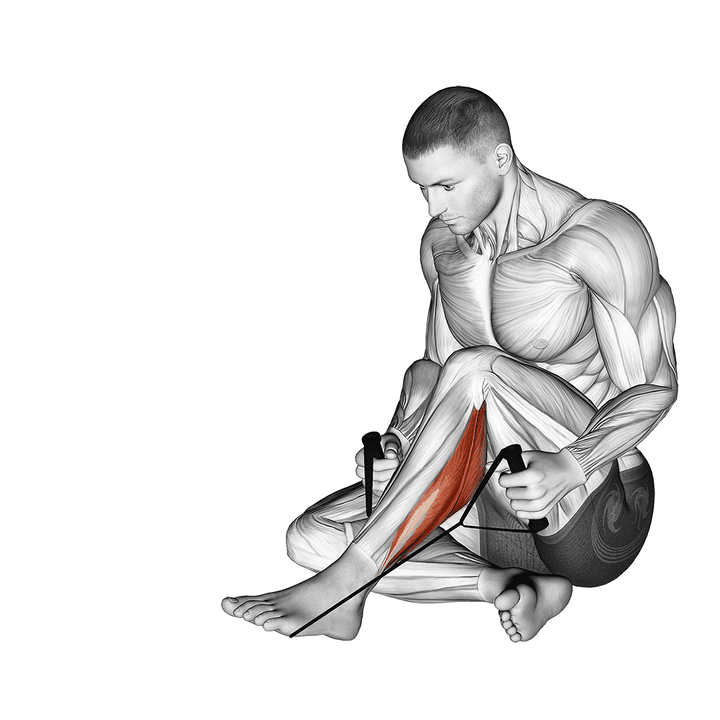 Demonstration of the peroneals stretch