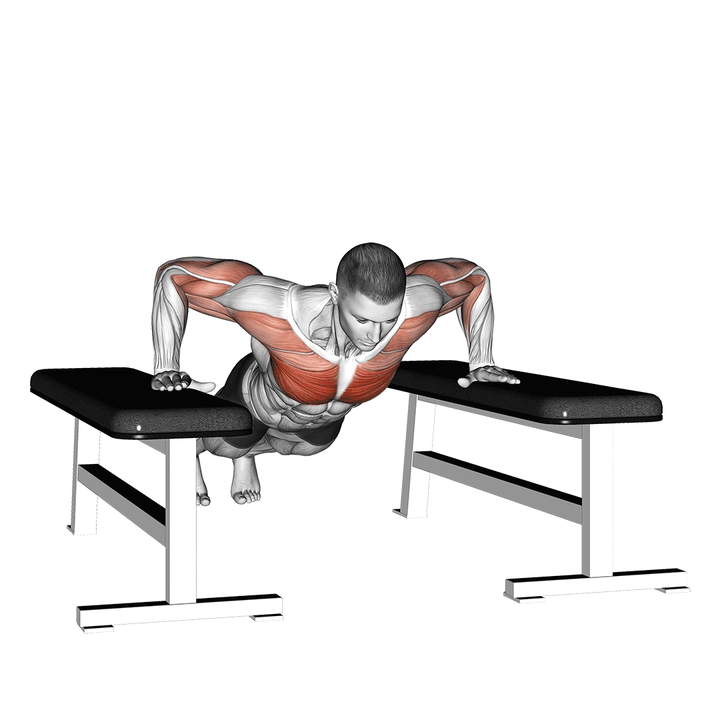 Demonstration of the drop push up
