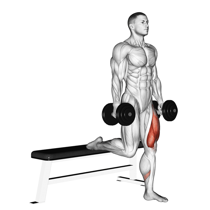 Demonstration of the dumbbell single leg split squat