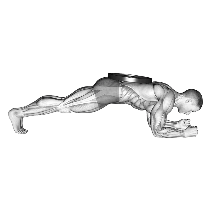 Demonstration of the firm weighted front plank