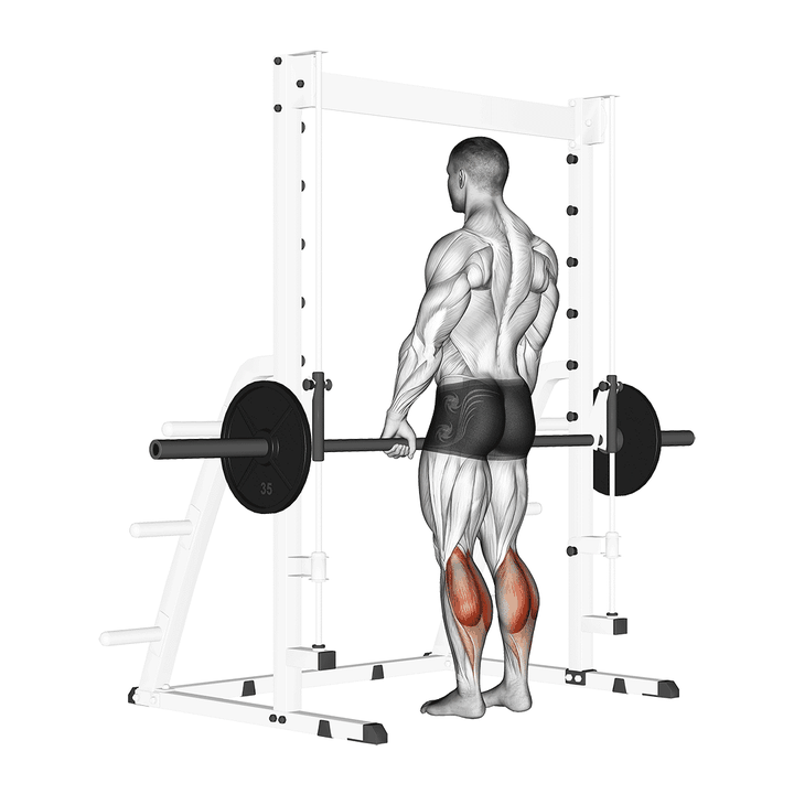 Demonstration of the smith standing leg calf raise