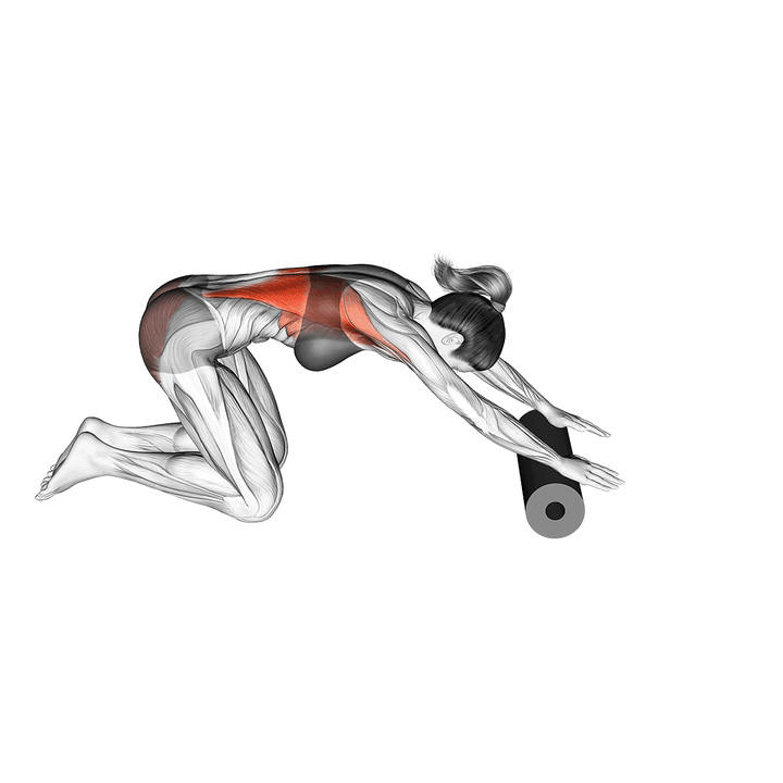 Demonstration of the roller back stretch