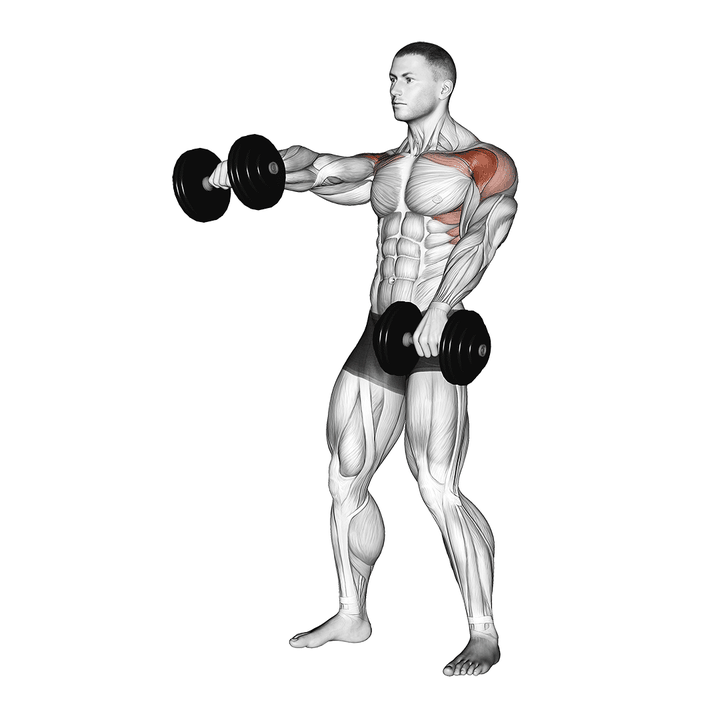 Demonstration of the dumbbell standing alternate raise