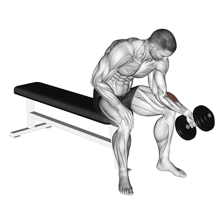 Demonstration of the dumbbell one arm seated neutral wrist curl