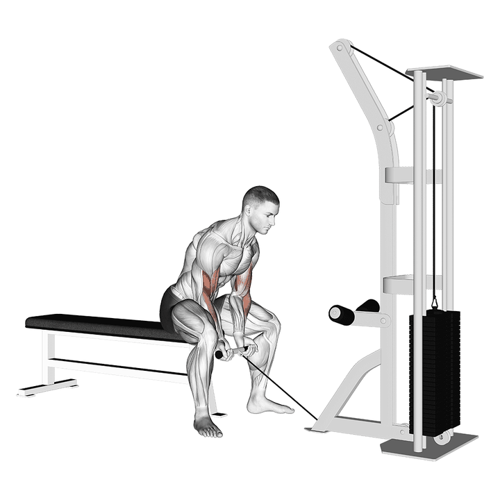Demonstration of the cable concentration curl