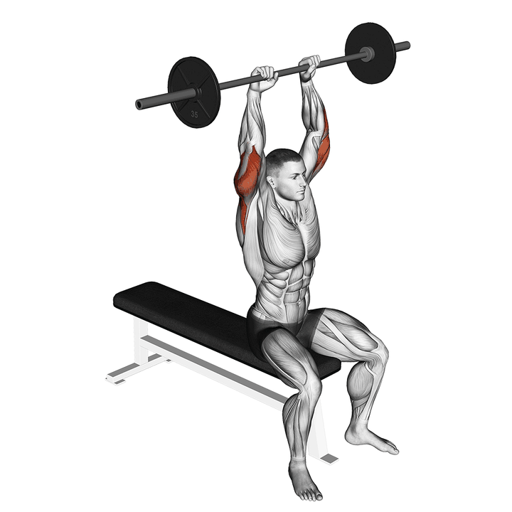 Demonstration of the barbell seated overhead triceps extension