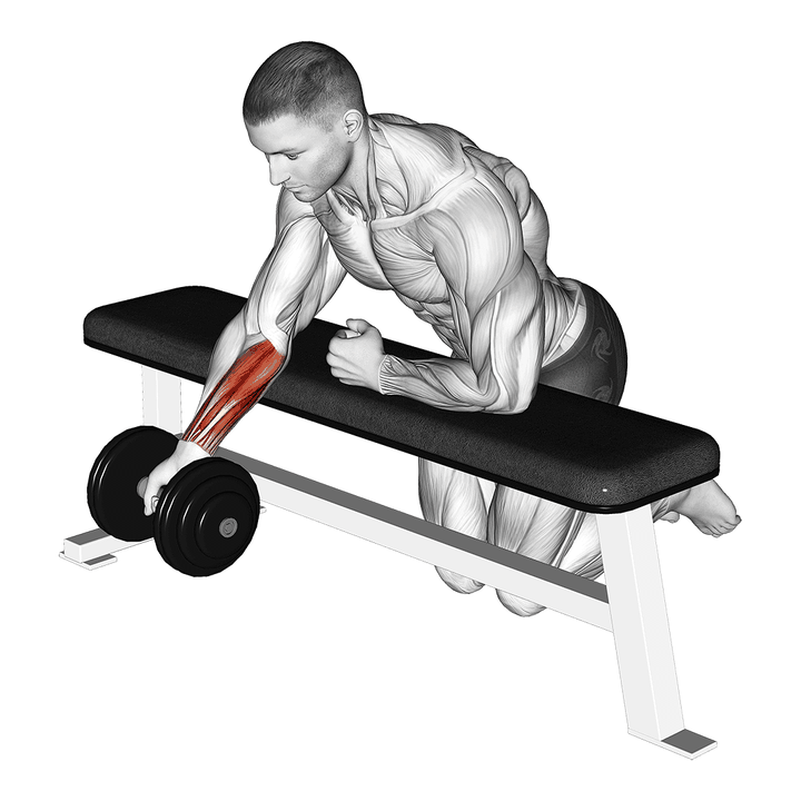 Demonstration of the dumbbell over bench one arm reverse wrist curl