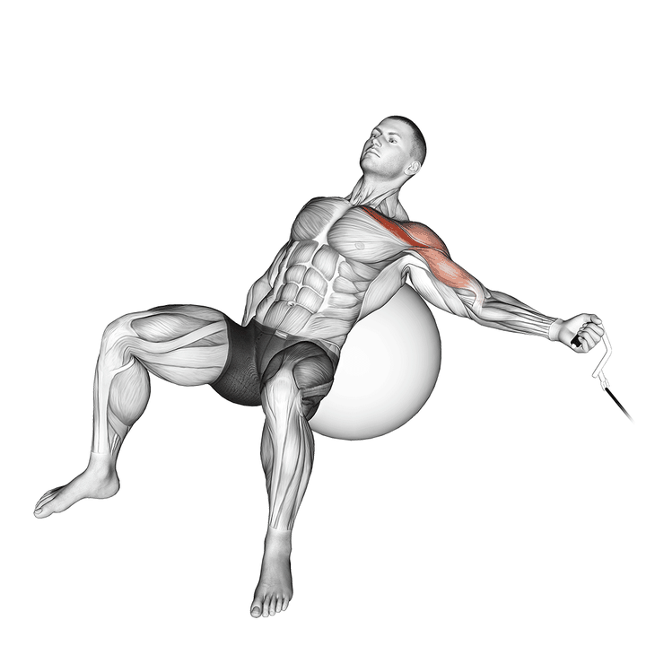 Demonstration of the cable one arm incline fly on exercise ball
