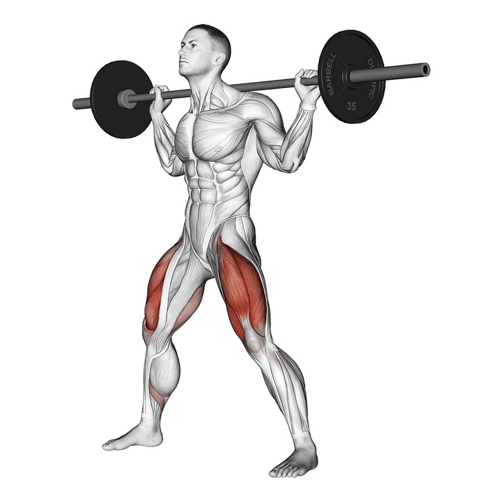 Demonstration of the barbell wide squat