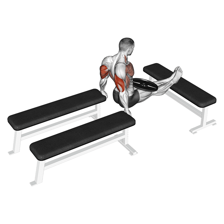 Demonstration of the weighted three bench dips
