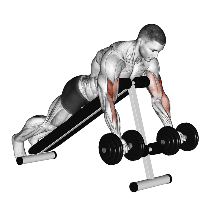 Demonstration of the dumbbell prone incline curl