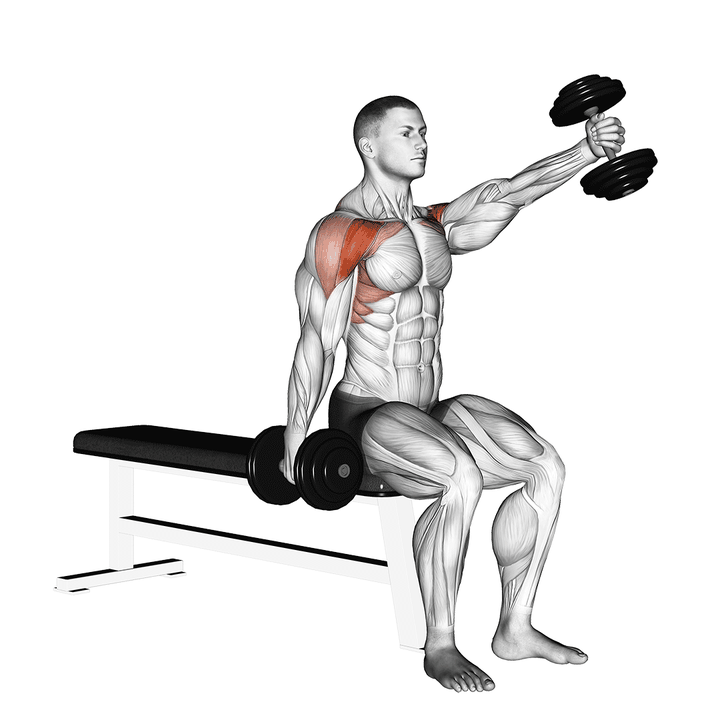 Demonstration of the dumbbell seated alternate front raise