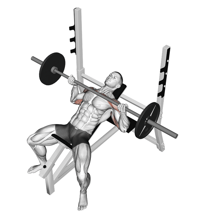 Demonstration of the barbell reverse grip incline bench press