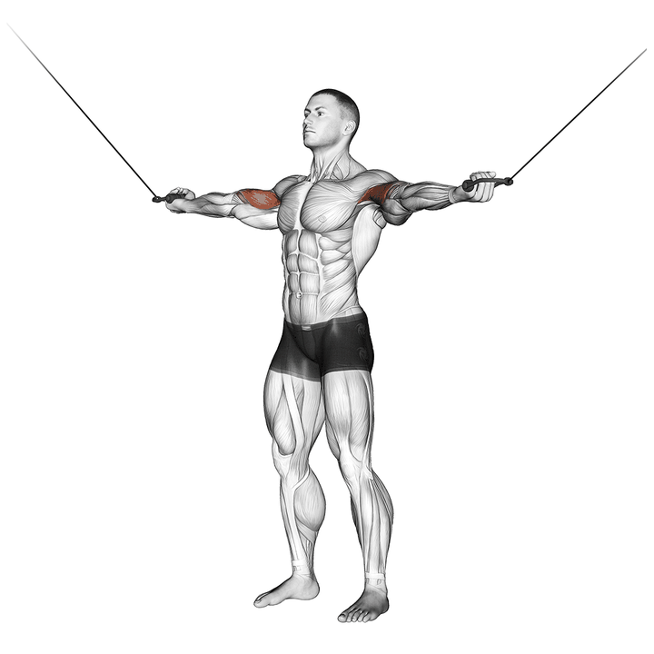 Demonstration of the cable standing inner curl