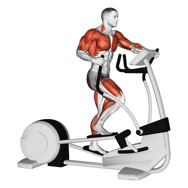 Demonstration of the walk elliptical cross trainer
