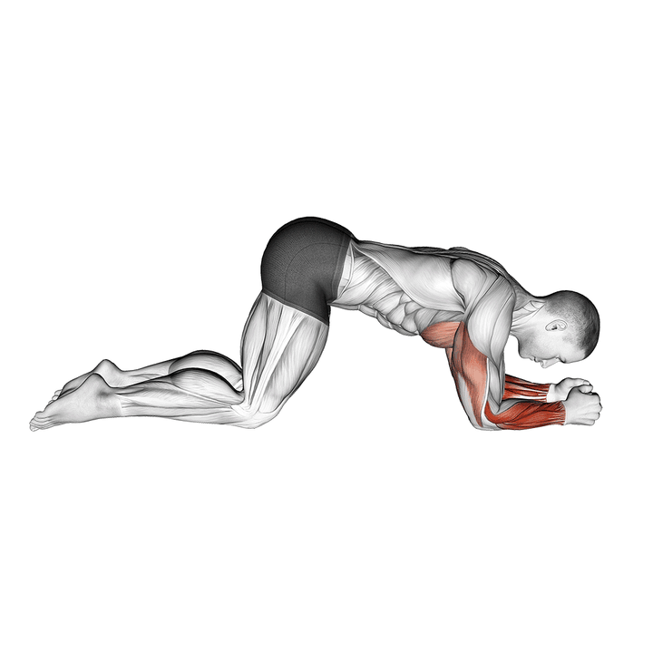 Demonstration of the modified push up to lower arms