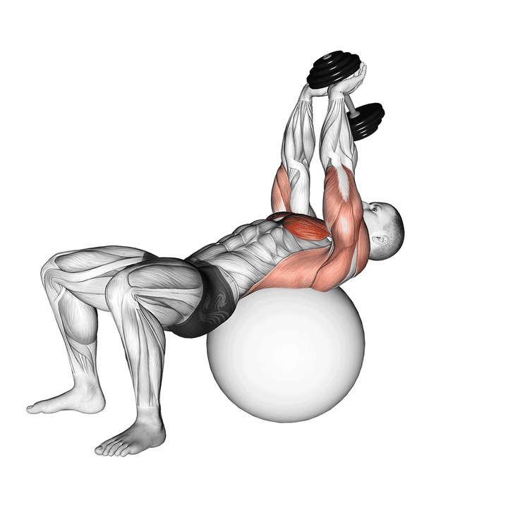 Demonstration of the dumbbell pullover on exercise ball